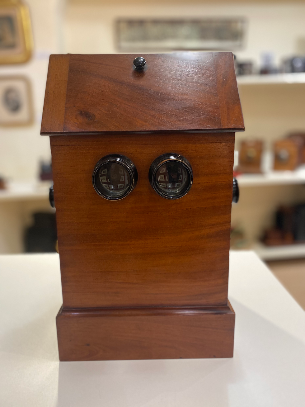 Thumbnail: Mahogany Viewer Kiosk