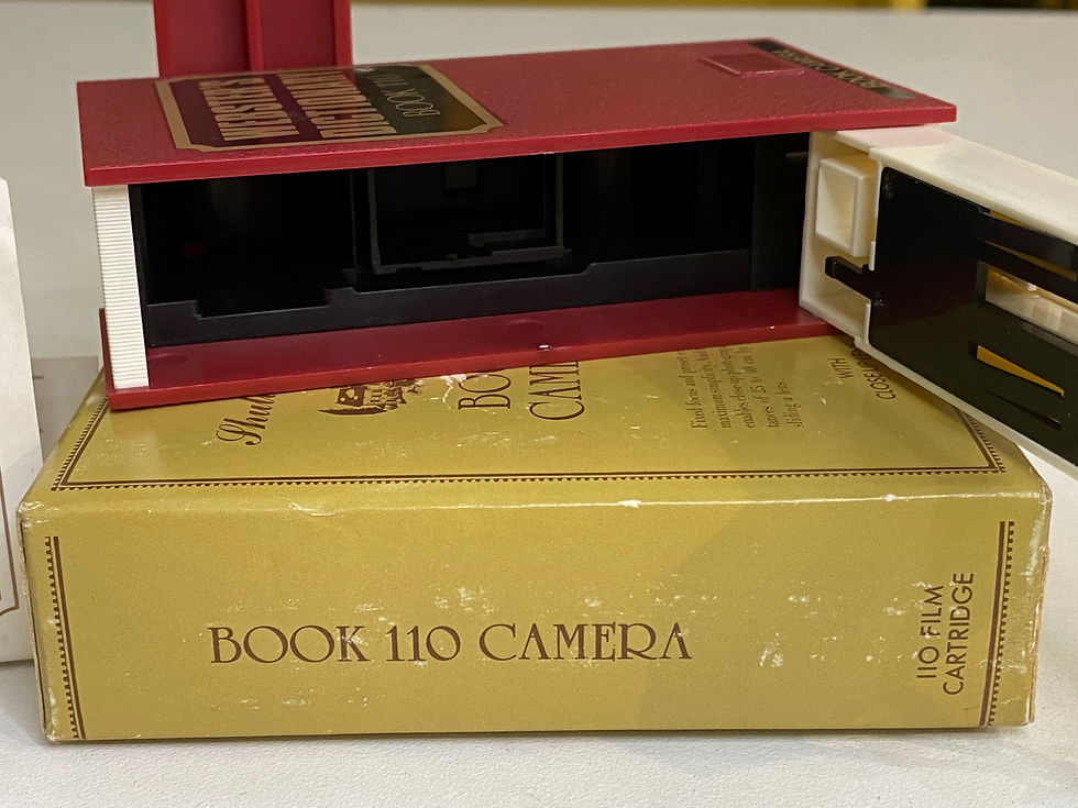 Miniature : Webster's Dictionary Book Camera 110