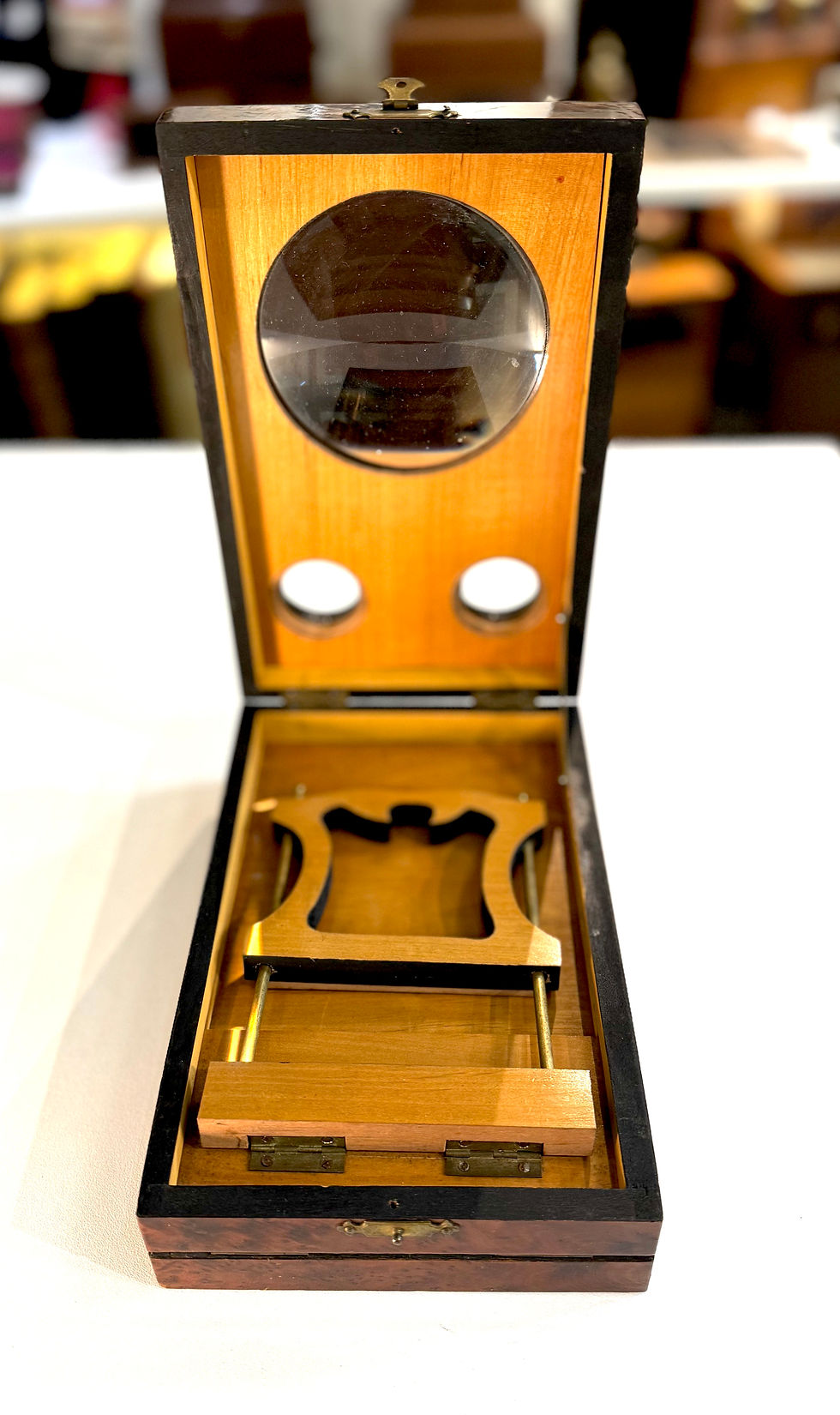 Miniature : Graphoscope mono et stéréo en ronce de thuya