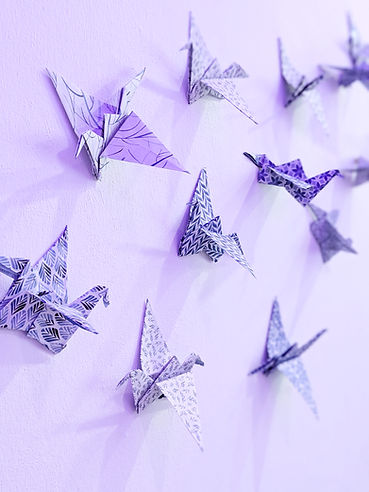 Birds_Wall_edited.jpg
