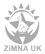 zimnalogo_edited.png