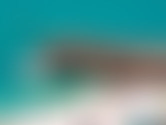 Top 5 Aruba Holiday Celebrations and Traditions for 2025