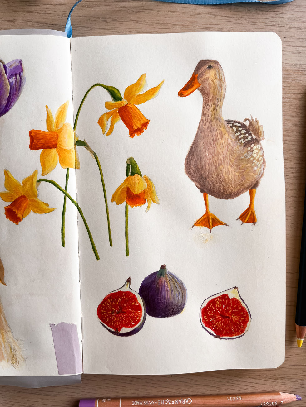 March sketchbook page. Details