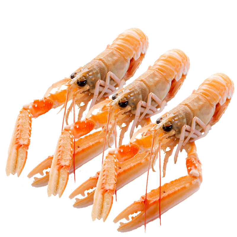 Three Macduff Shrimp (17-20)