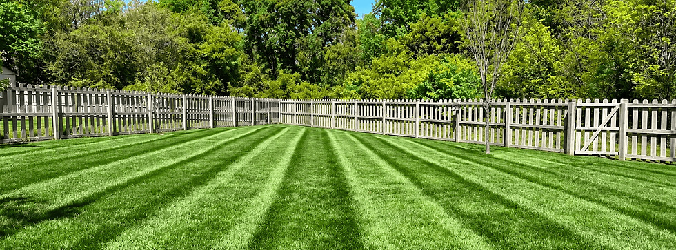 lawn-care-ballantyne-nc-1.png