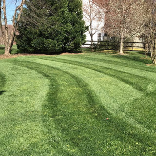 Lawn mowing & Lawn Maintenance, Harrisburg NC