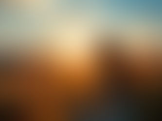 Why We Shut Down When We’re Overwhelmed