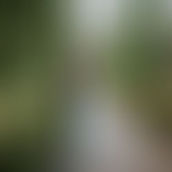 Boda Marina & Álex - Can Ribas de Montbui