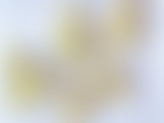 Frollini con farina di grano saraceno e riso