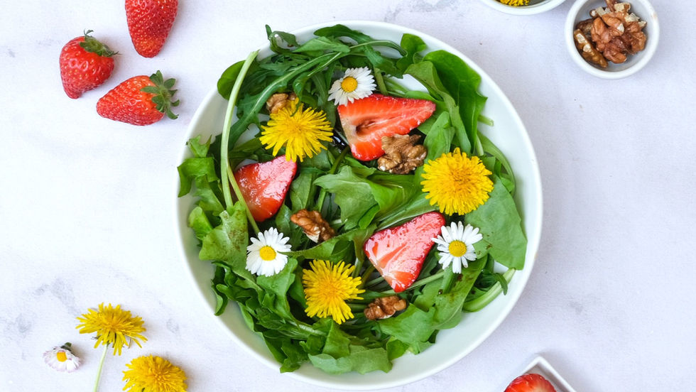 Insalata di tarassaco, cicoria, rucola e fragole marinate