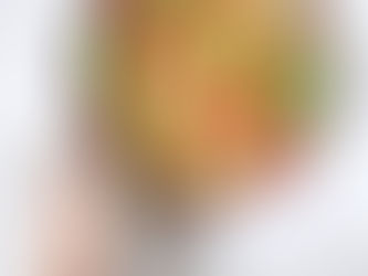 Involtini di verza con tofu e verdure