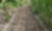 Rows of freshly tilled soil, ready for planting and cultivation of crops.