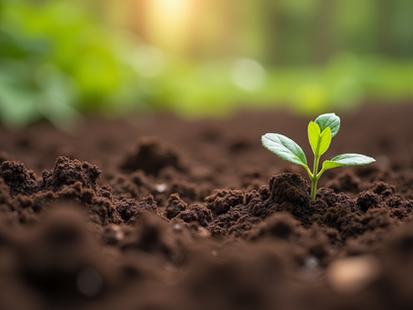 Top Benefits of Using Organic Fertilizer Benefits