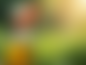 Organic Pesticide Preparation Made Easy