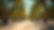Eye-level view of coconut palm plantation in sandy soil