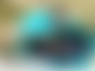 What are the benefits of Humic Acid Liquid Fertilizer?