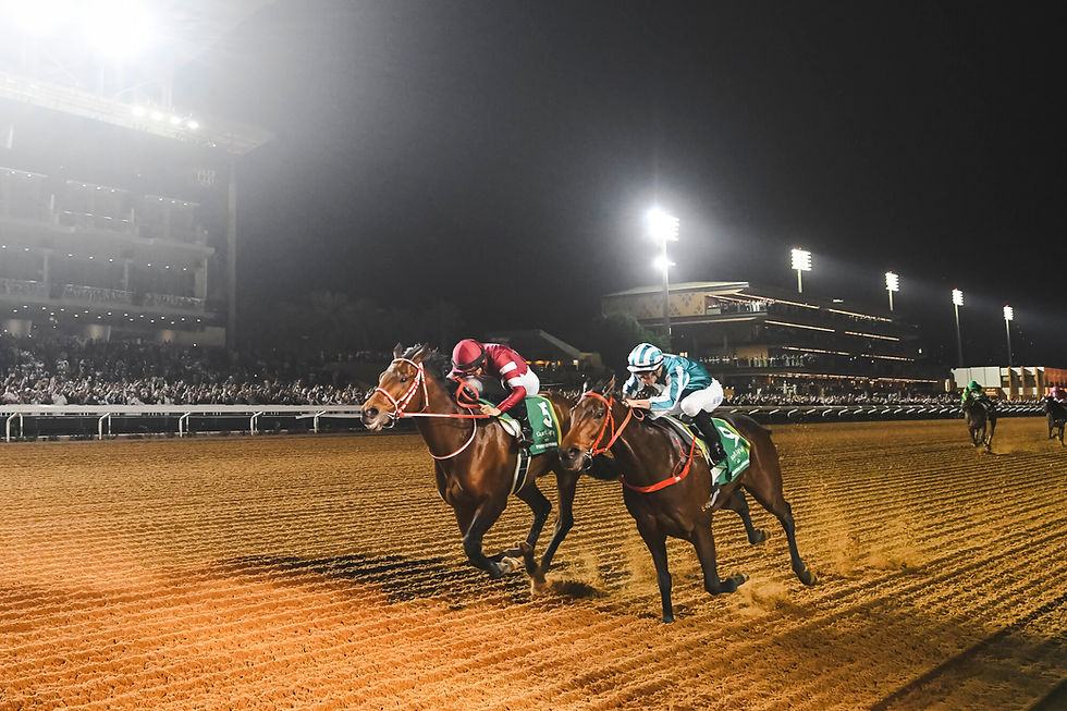 All Things Racing And A Winner Or Two