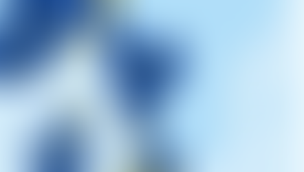 SVEG och Danmark stöttar kommunerna