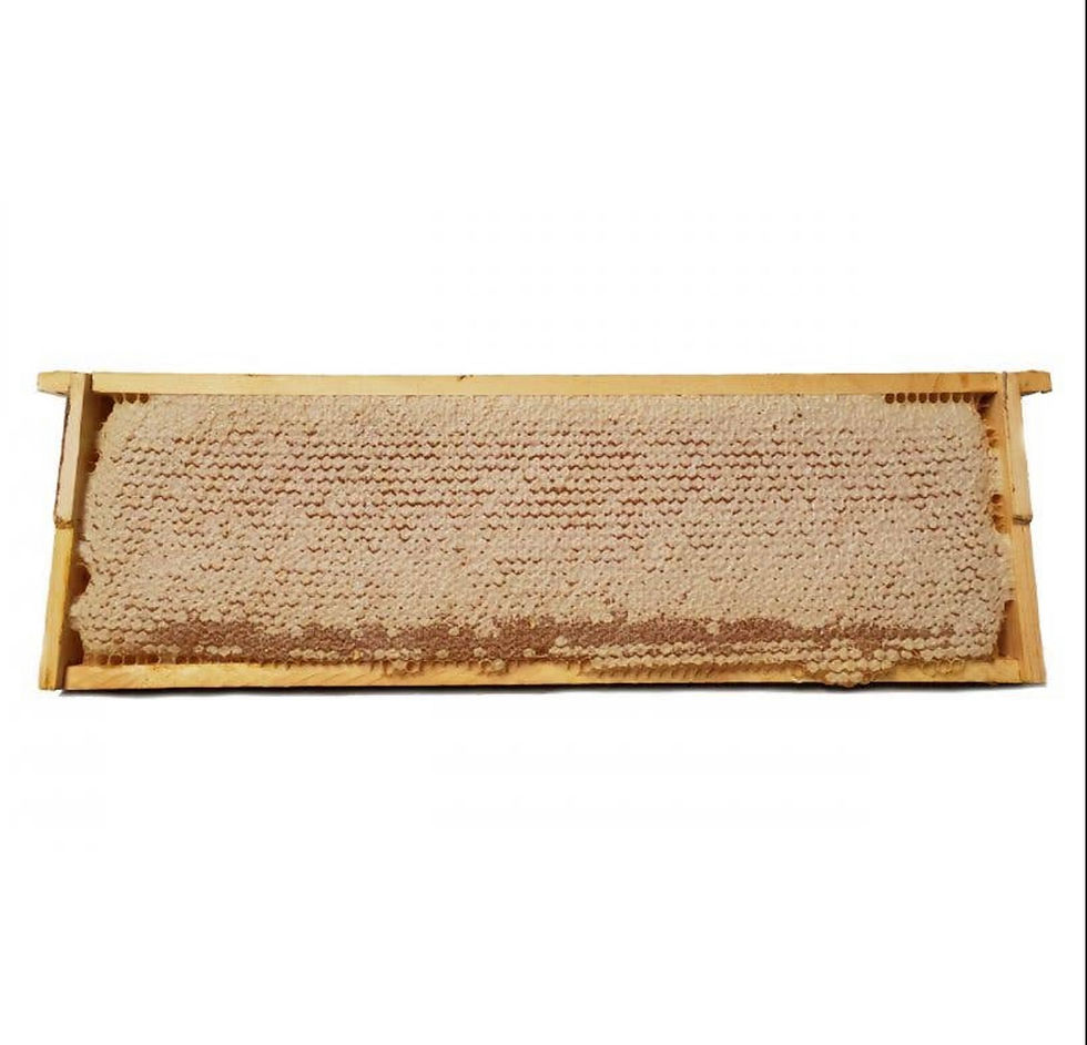 Thumbnail: Stainless Steel Honeycomb Server