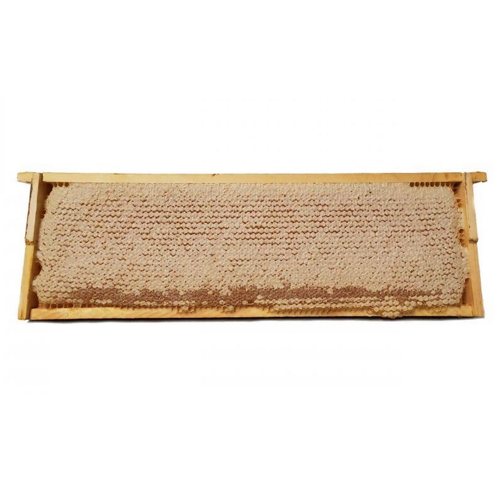 Thumbnail: Whole Honeycomb Frame