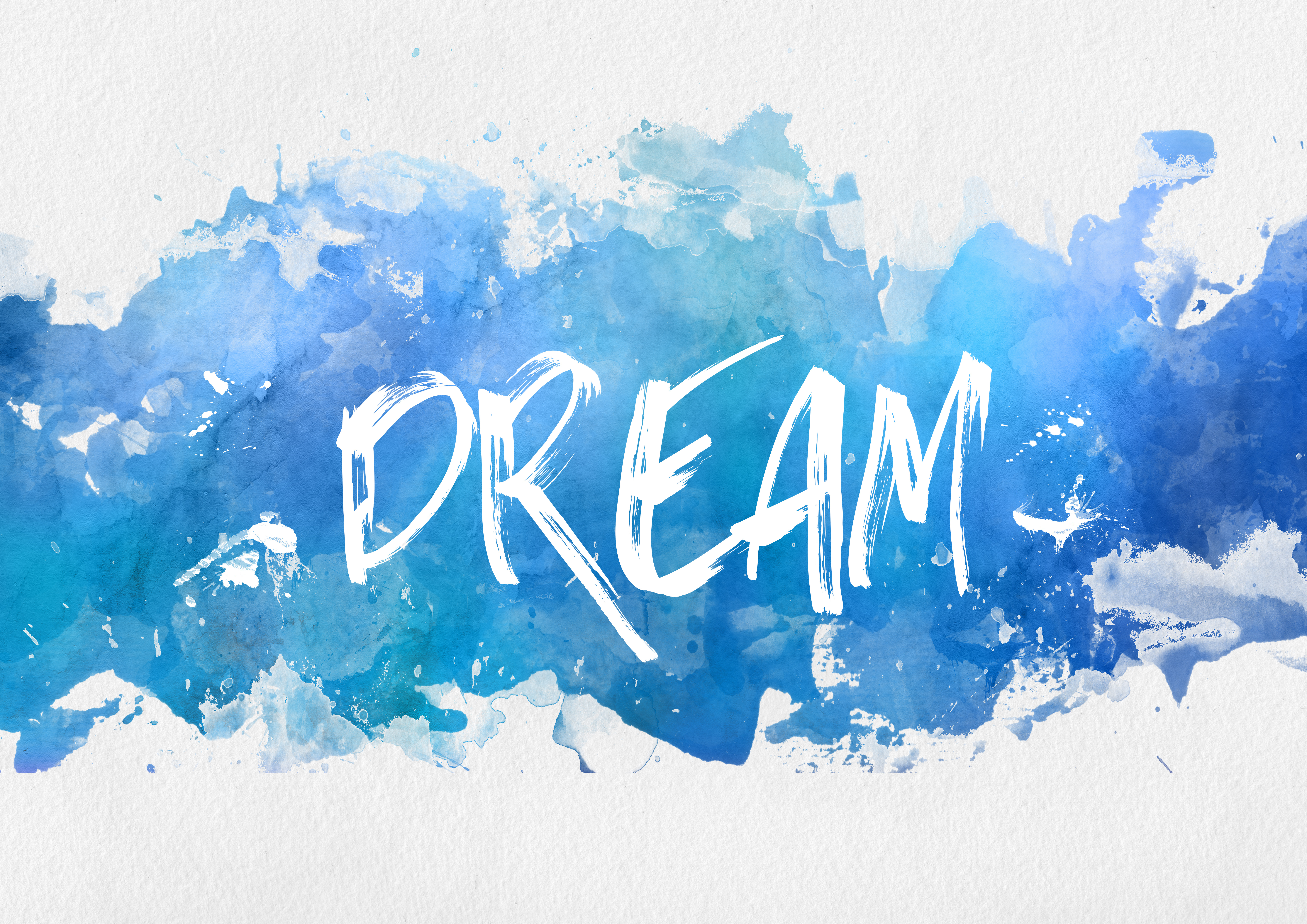 THE DREAMBUILD