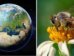 Dan za planetu Zemlju