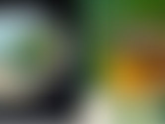 Dan za planetu Zemlju