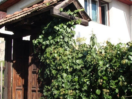 Sedrenik: The Traditional Bosnian Architecture
