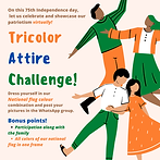 Tricolour Attire.png