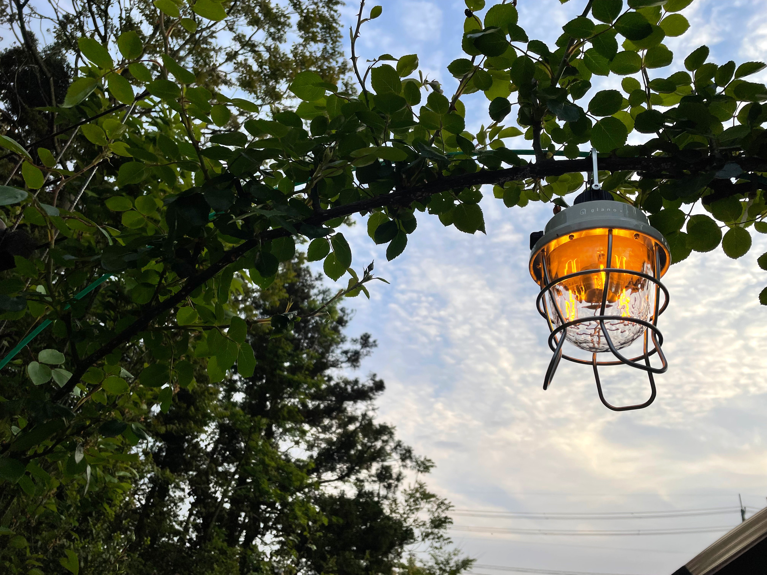 レトロパインランタン | glanox（グラノクス）