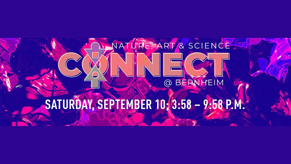 Zu Zu Ya Ya at Bernheim CONNECT Festival