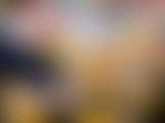 ニードルフェルトの盲導犬