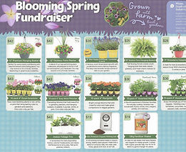 Order Descriptions 2026.jpeg