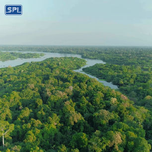 Our Journey to NetZero - A Snapshot from SPL Installations 🌱 