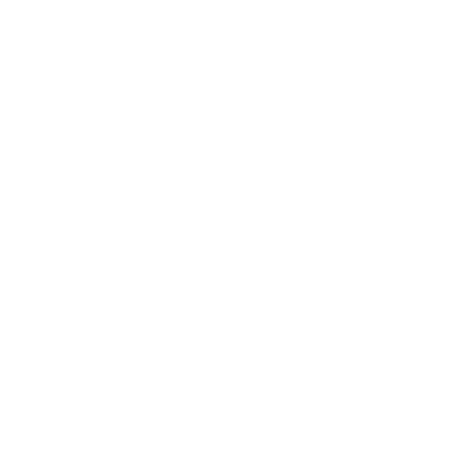 datalty logo (3).png