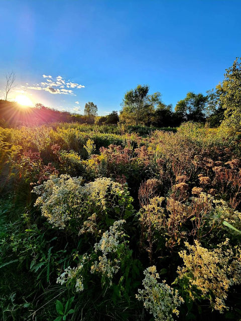 FB_IMG_1664319580960.jpg