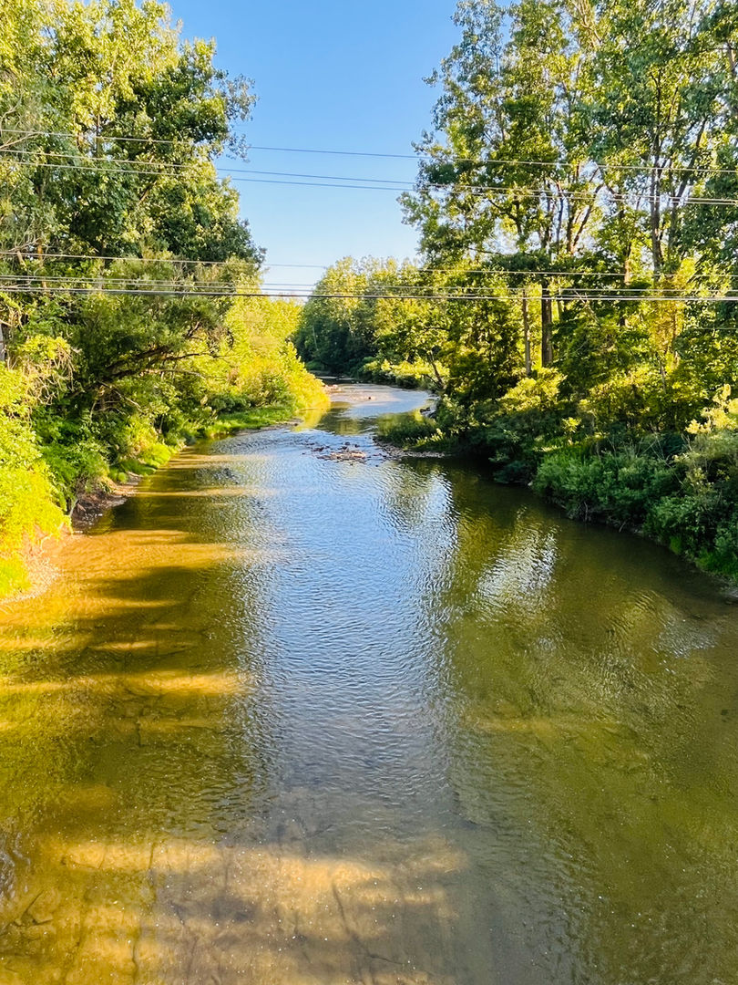 Serene river scene in Liverpool TWP