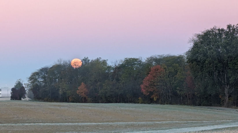 Large harvest moon rising over autumn trees