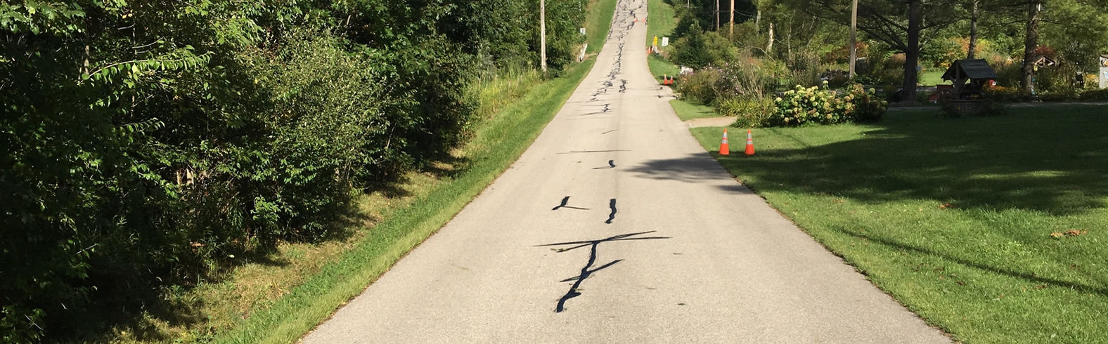 Long open road with cracks in the asphalt, trees on both sides.
