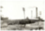 Paper Mill Mules (3)