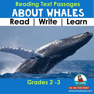 All About Whales - Reading