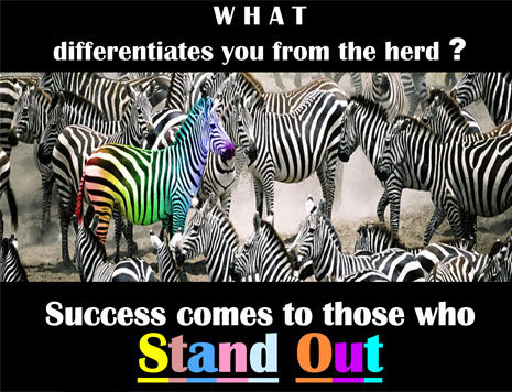 Robert Stevenson Blog - Success comes to those who stand out.