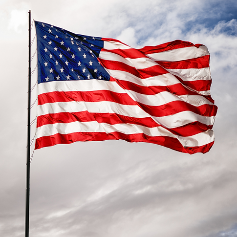 Untitled design - 2023-12-22T105003.067.png