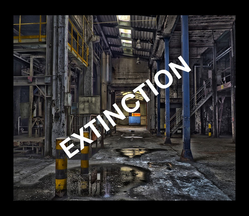 Robert Stevenson - If you dont like change you are going to hate extinction