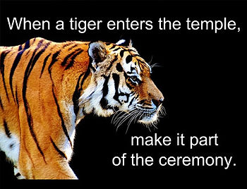 Robert Stevenson Blog Picture - When A Tiger Enters