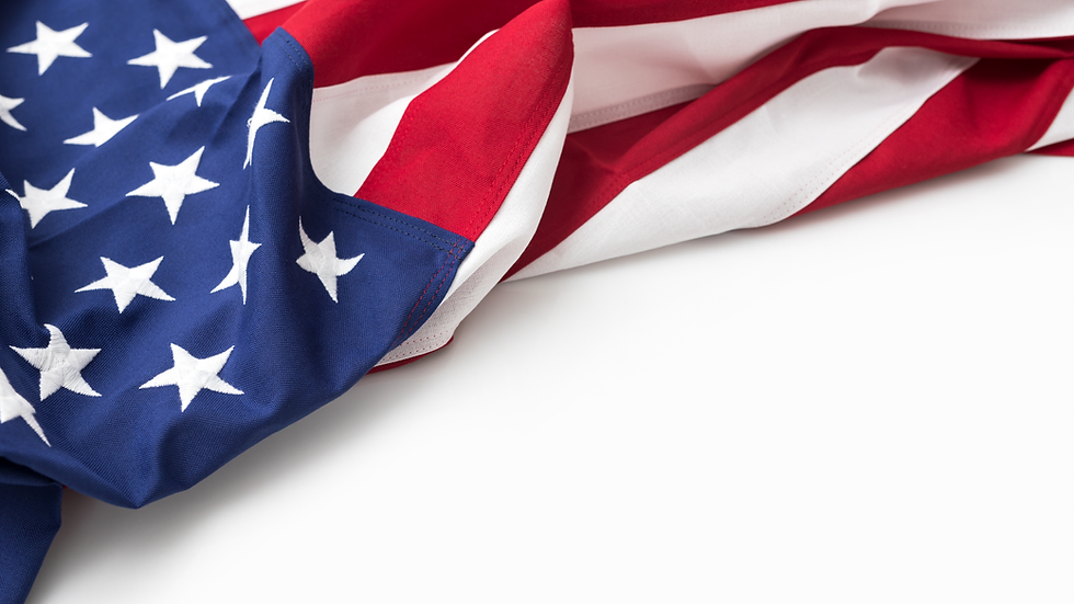 Copy of DMS Website Flag (1).png
