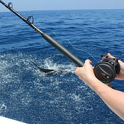 Sportfishing-fec09cba.jpeg