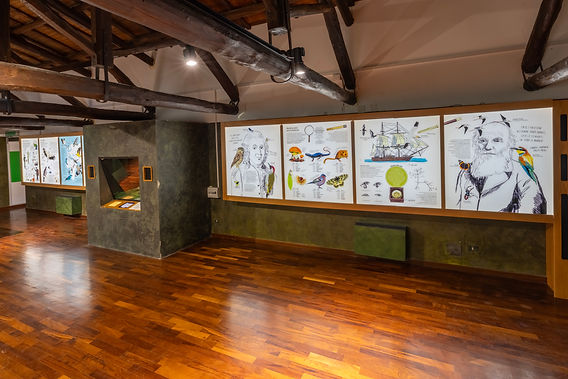 _A2A5423-HDR-1 copia.jpg