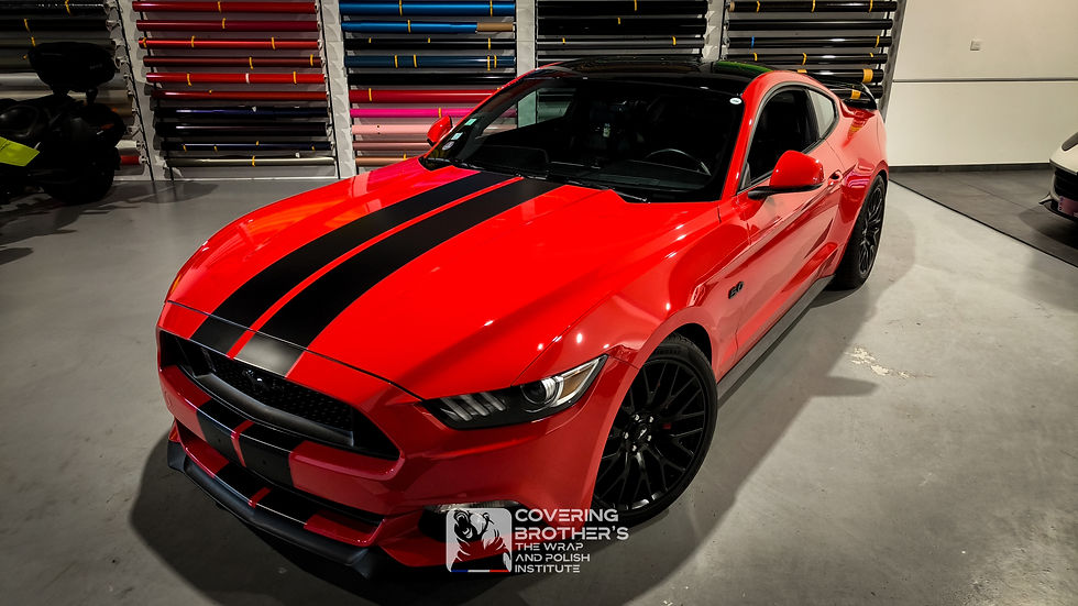 Miniature : Kit bandes intégral mustang toutes années - couleur au choix