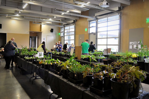 2021 September Public Plant and Book Sale